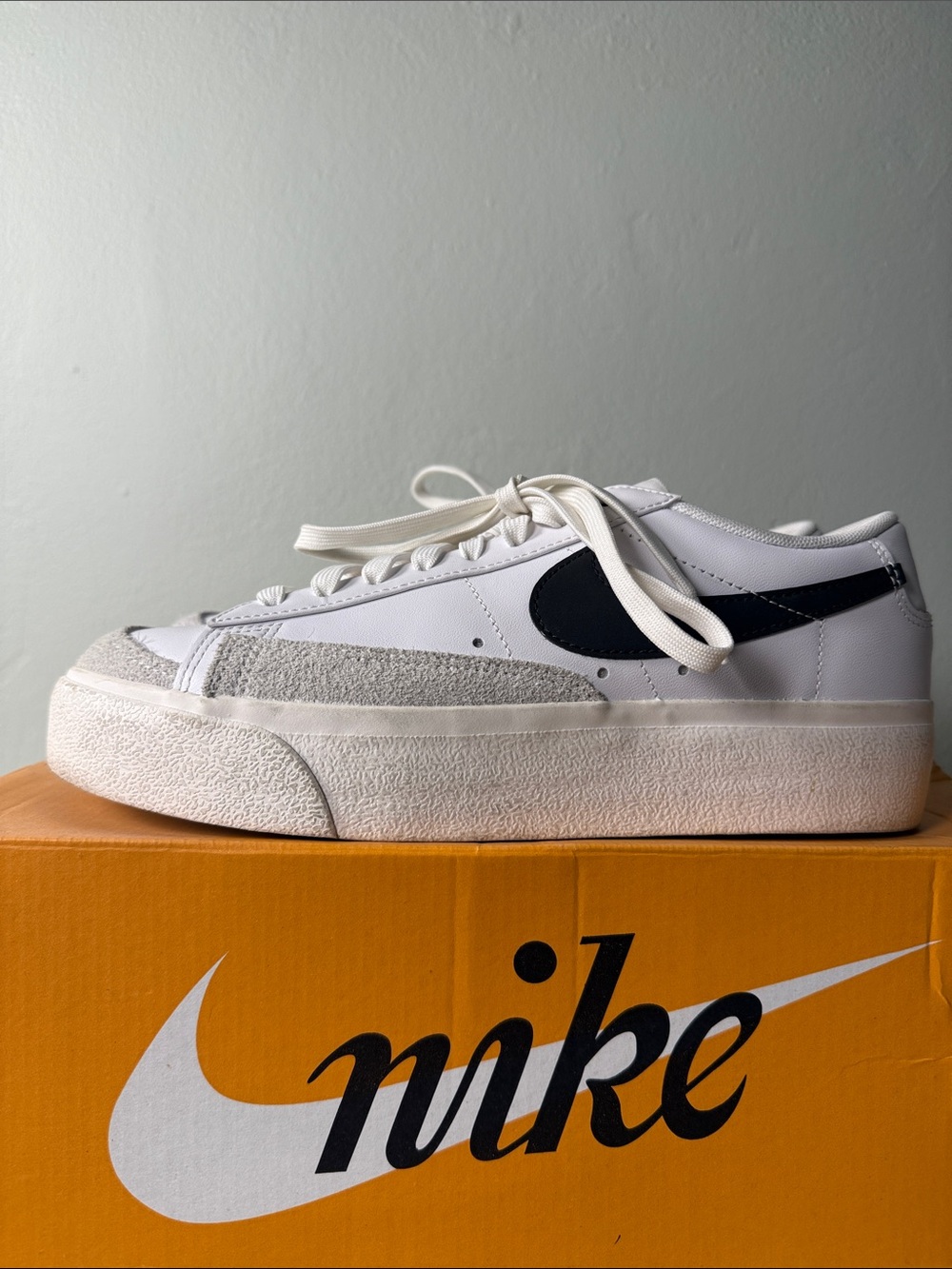 Nike Women’s White Sneakers with Black Swoosh
